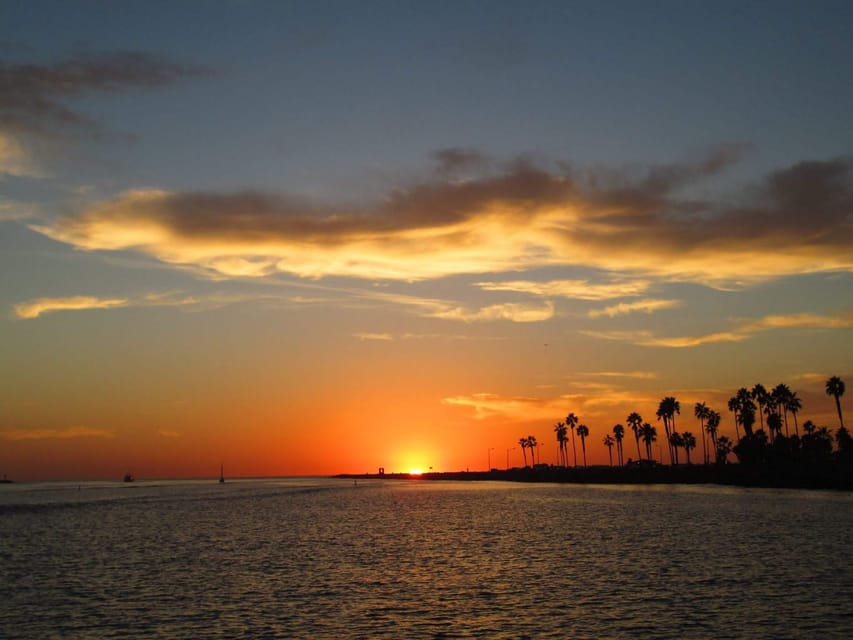 San Diego: Dolphin and Whale-Watching Sunset Cruise - Why the naturalist guide matters