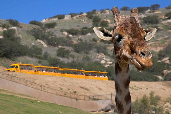 San Diego Explorer Pass: Save up to 50% - Includes San Diego Zoo - Balboa Park’s museums and gardens