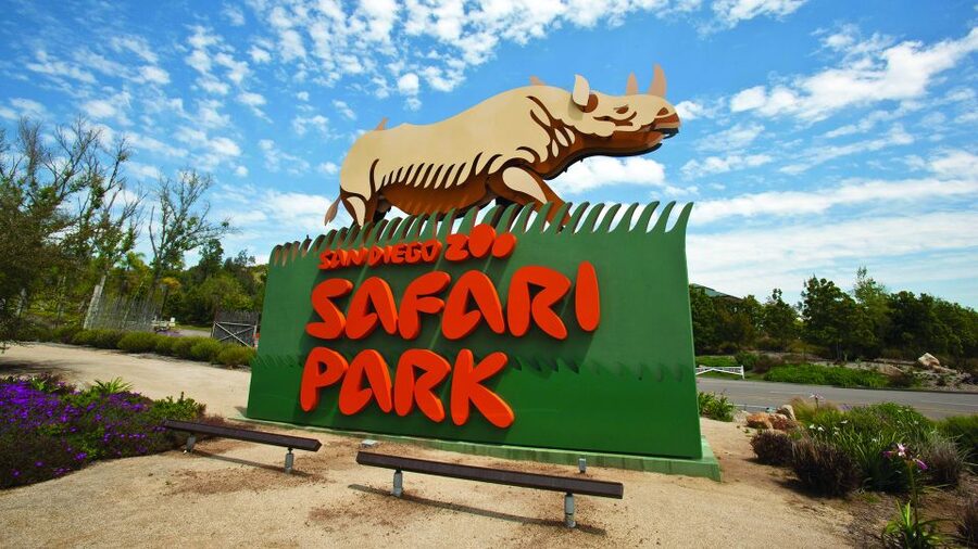 San Diego Explorer Pass: Tickets to 2-7 Attractions - Choosing the right number of attractions