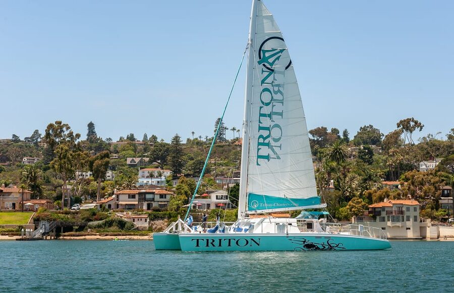 San Diego Harbor Cruise: 2.5 hour Catamaran Cruise - The first views across San Diego Bay