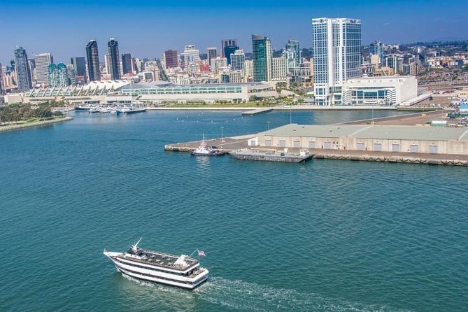 San Diego: Harbor Cruise - Sea lions and harbor wildlife add an unscripted moment