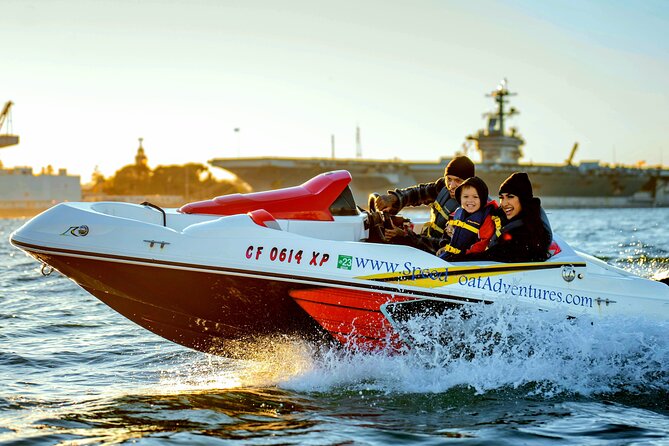 San Diego Harbor Speed Boat Adventure - Sea lions and the San Diego Bait Barge