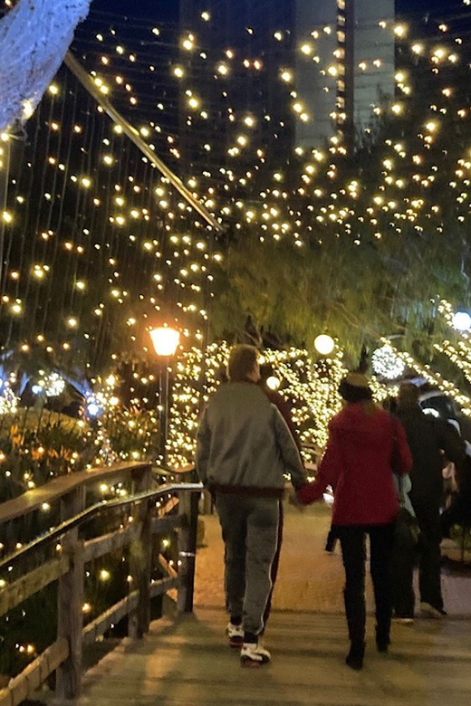 San Diego: Holiday Lights and Sights Trolley Tour - The Embarcadero adds waterfront atmosphere