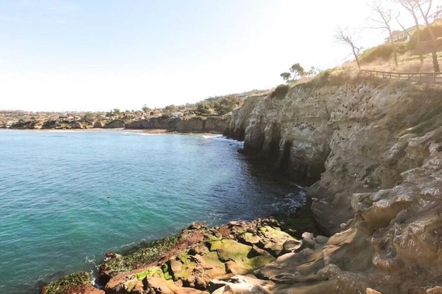 San Diego: La Jolla Cove Guided Snorkeling Tour - Why Rich makes a difference for first-time snorkelers