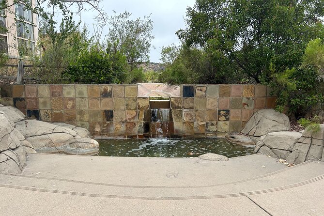 San Diego Mountain Hike and Meditation Tour - The early morning option is worth choosing