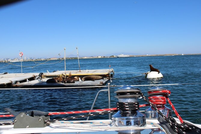 San Diego Private Morning Sail up to 12 guests - Blankets, drinks, and simple snacks