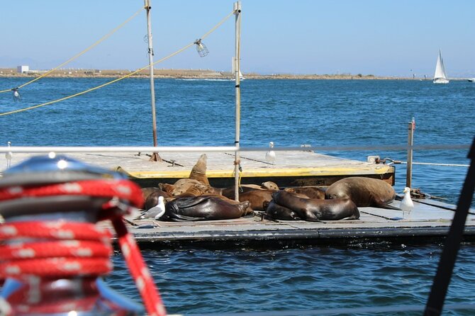 San Diego Private Morning Sail up to 12 guests - The return trip and the two-and-a-half-hour pace