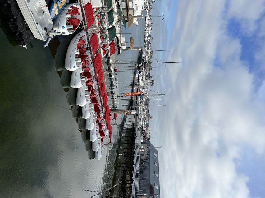 San Diego: San Diego Bay Dog-Friendly Eco Pedal Boat Rentals - A slow ride through America’s Cup Harbor