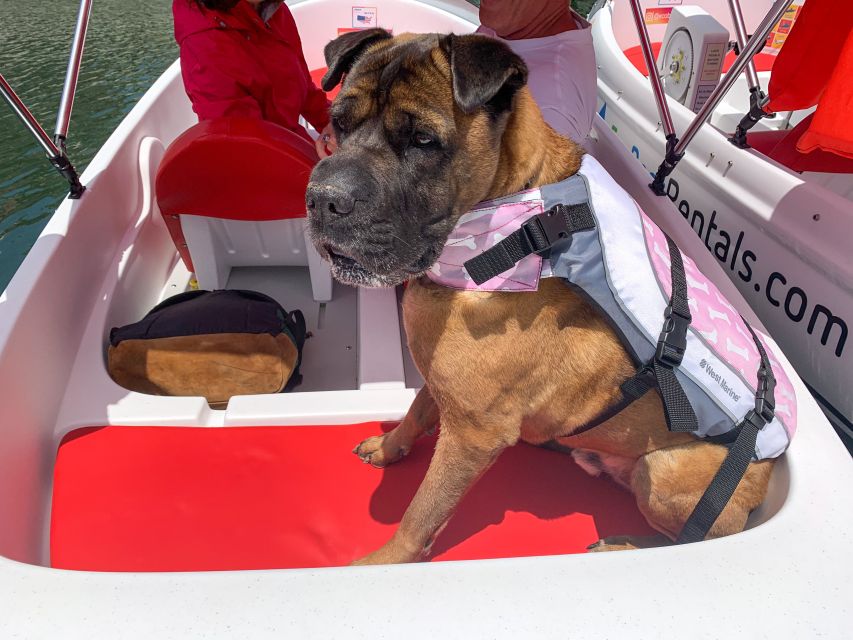 San Diego: San Diego Bay Dog-Friendly Eco Pedal Boat Rentals - FAQ