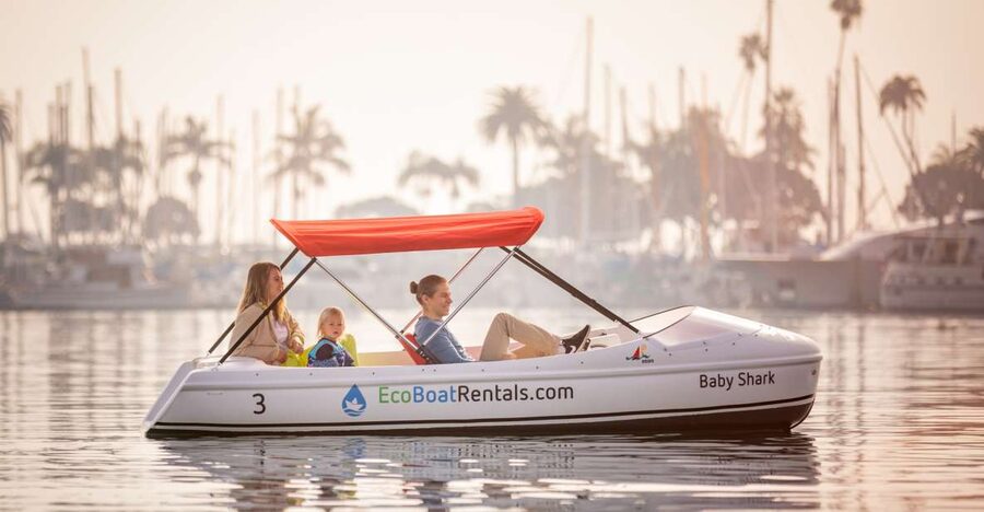 San Diego: San Diego Bay Dog-Friendly Eco Pedal Boat Rentals - Bringing your dog on board