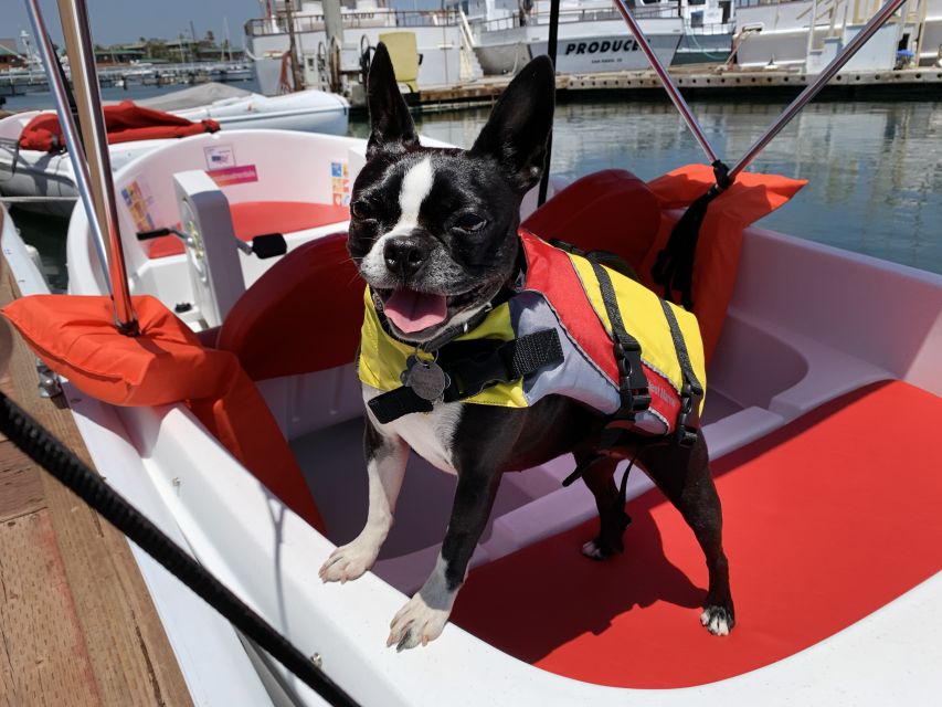 San Diego: San Diego Bay Dog-Friendly Eco Pedal Boat Rentals - Should you book this one-hour rental?
