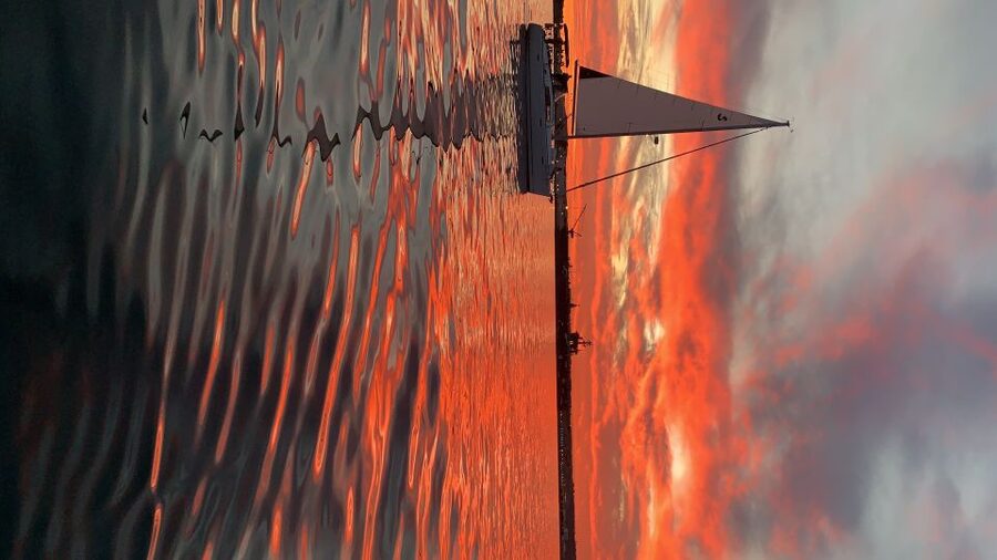 San Diego: San Diego Bay Sunset & Daytime Sailing Experience - Key points at a glance