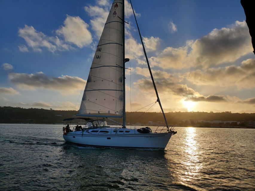 San Diego: San Diego Bay Sunset & Daytime Sailing Experience - Sea lions, dolphins, and the small surprises