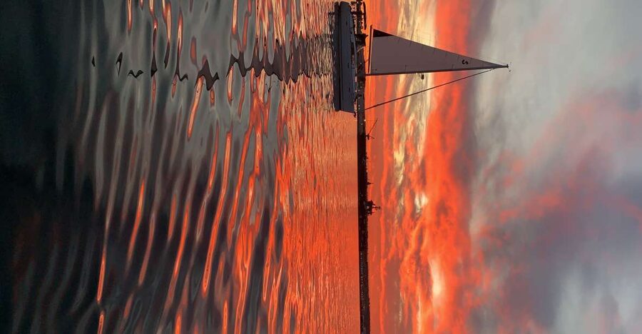 San Diego: San Diego Bay Sunset & Daytime Sailing Experience - The first views: downtown, the USS Midway, and historic ships