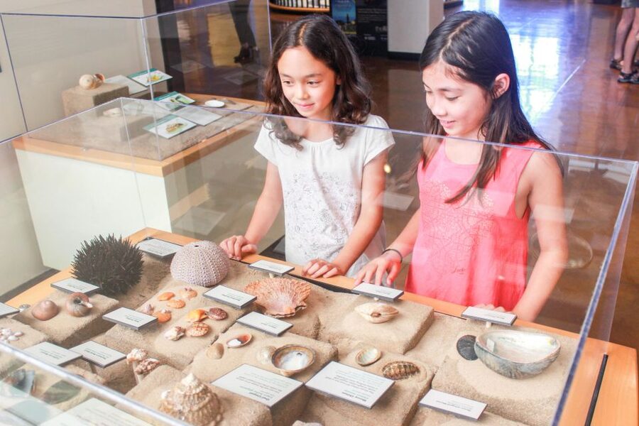 San Diego: San Diego Natural History Museum Ticket - How Much Time Should You Allow?