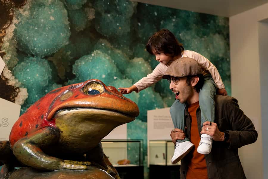 San Diego: San Diego Natural History Museum Ticket - Fossil Mysteries, From Dinosaurs to Mastodons