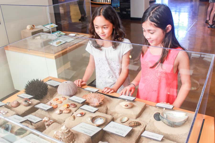 San Diego: San Diego Natural History Museum Ticket - Citizen Science and the Museum’s 150 Years