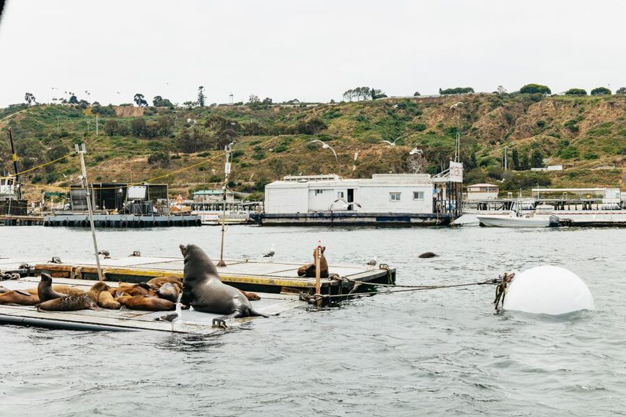 San Diego: SEAL City Tour by Amphibious Bus - Is $55 a fair price?