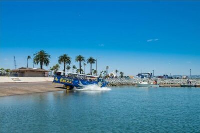 San Diego Seal Tour