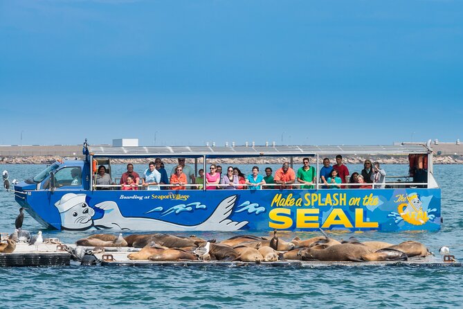 San Diego Seal Tour - The splashdown and San Diego Bay