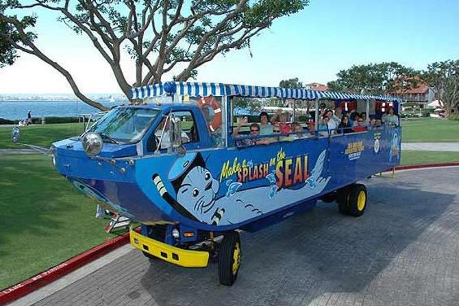 San Diego Seal Tour - Who will enjoy this most?
