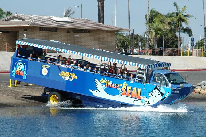 San Diego Shore Excursion: San Diego Seal Tour - Key points at a glance
