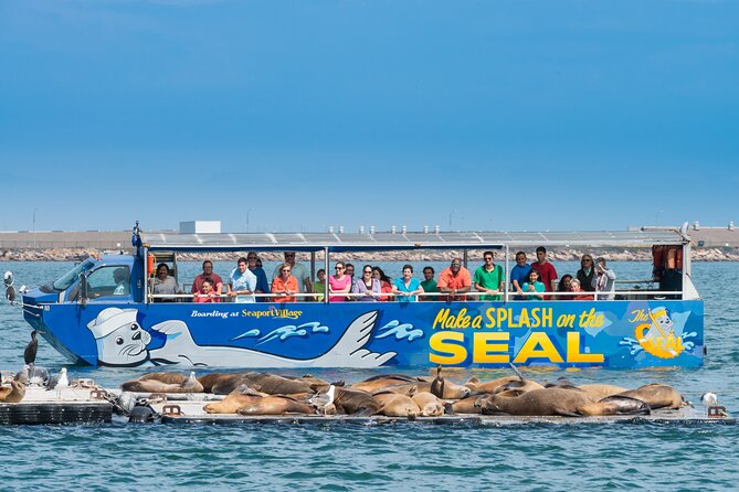 San Diego Shore Excursion: San Diego Seal Tour - The splash is the star of the San Diego Seal Tour