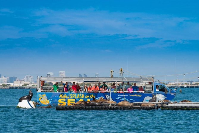 San Diego Shore Excursion: San Diego Seal Tour - The guides make the history easier to follow