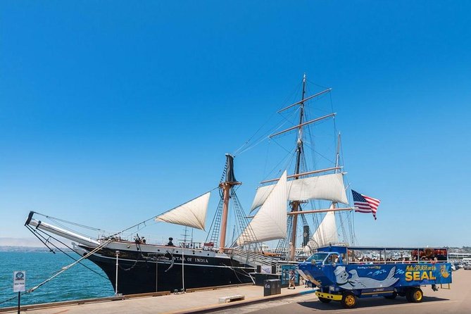 San Diego Shore Excursion: San Diego Seal Tour - Who should book this excursion?