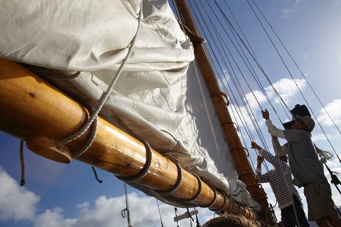 San Diego Sunset or Afternoon Sail on Classic Yacht - A calm sail, not a party boat