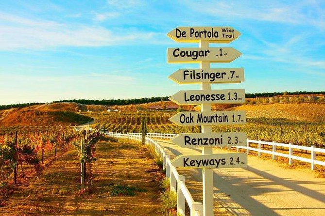 San Diego to Temecula: Wine Country Tour & Historic Old Town - Old Town Temecula: one hour of Western character