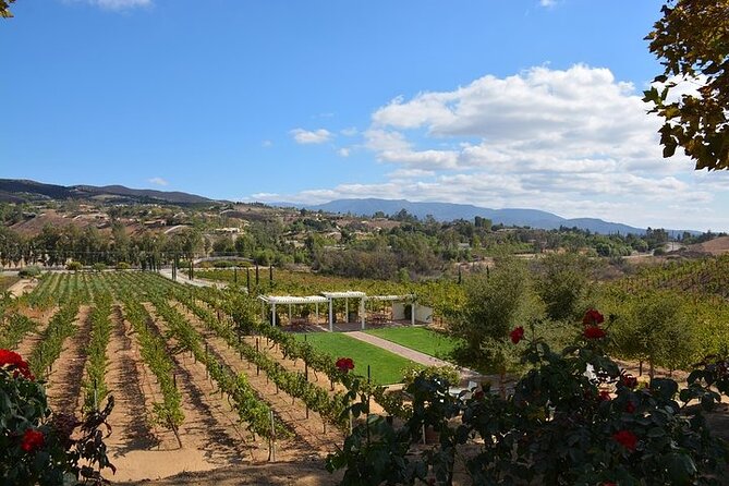San Diego to Temecula: Wine Country Tour & Historic Old Town - What the $258.54 price really covers