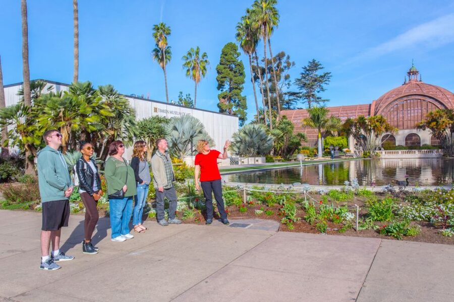 San Diego Walking Tour: Balboa Park with a Local Guide - Moreton Bay fig and the Botanical Building