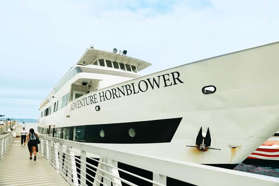 San Diego: Whale and Dolphin Watching Cruise - Should you book it?