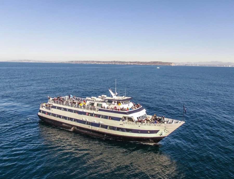 San Diego: Whale and Dolphin Watching Cruise - Why San Diego works for whale watching