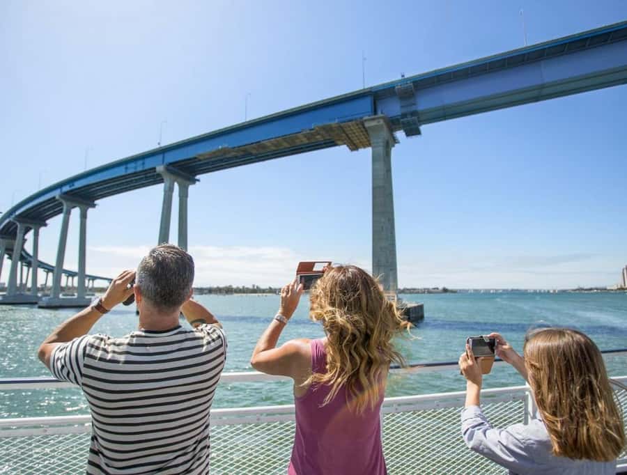 San Diego: Whale and Dolphin Watching Cruise - Is the $77 price good value?