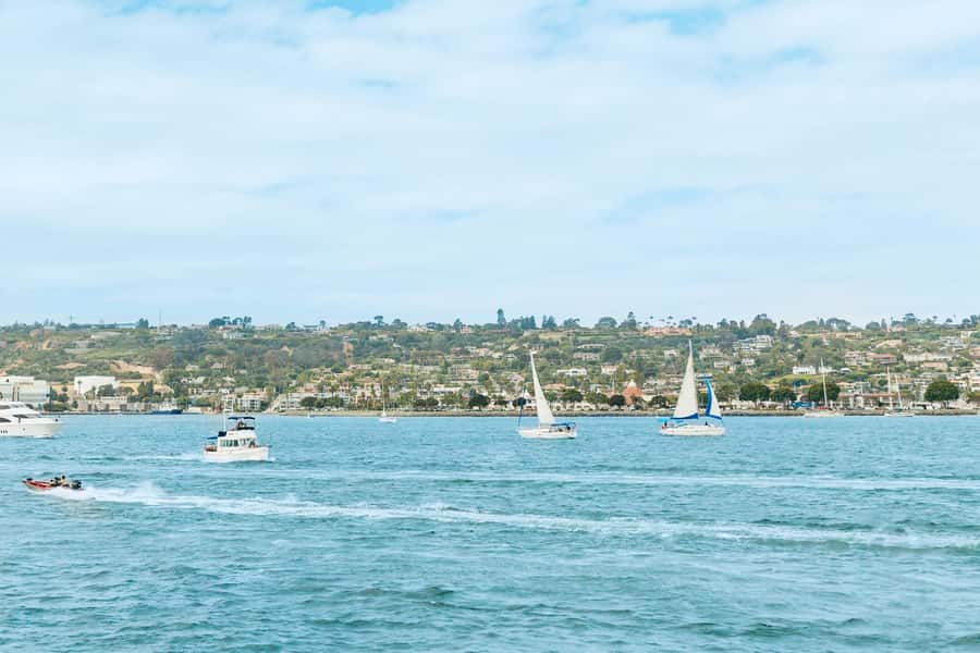San Diego: Whale and Dolphin Watching Cruise - Who should book this cruise?