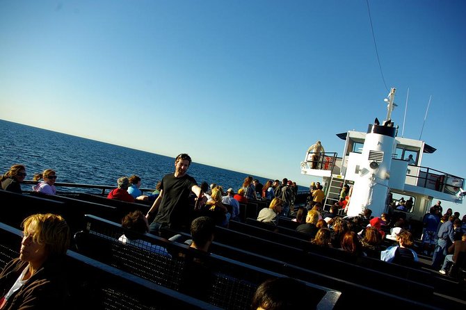 San Diego Whale Watching Cruise - Morning or afternoon: choose for your schedule