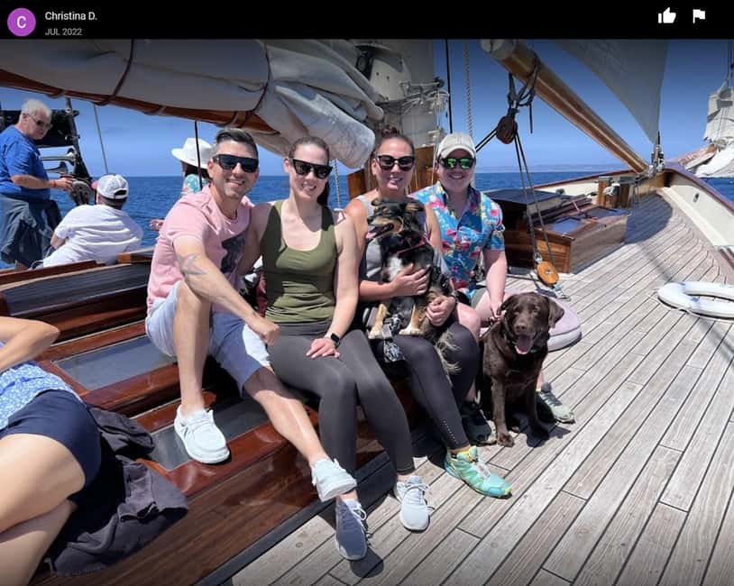 San Diego: Whale Watching Cruise on the Yacht America - What you may see by season