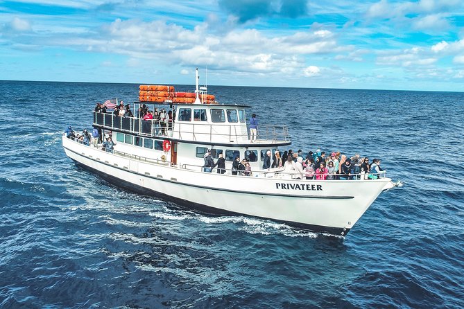 San Diego Whale Watching & Dolphin Cruise - Looking for whales, dolphins, and sea lions