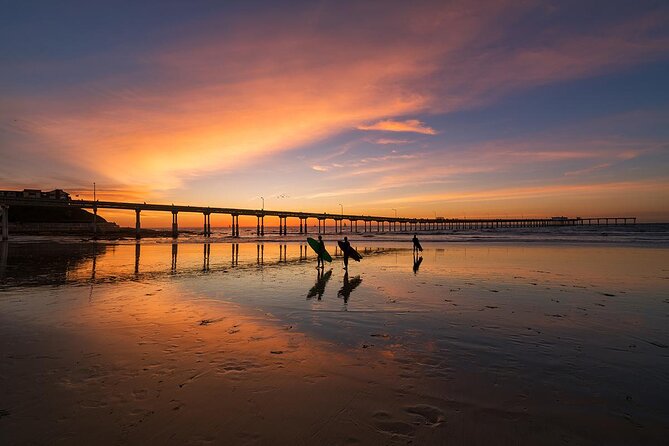 San Diego Whale Watching & Dolphin Cruise - Sunset Cliffs and the return along the coast