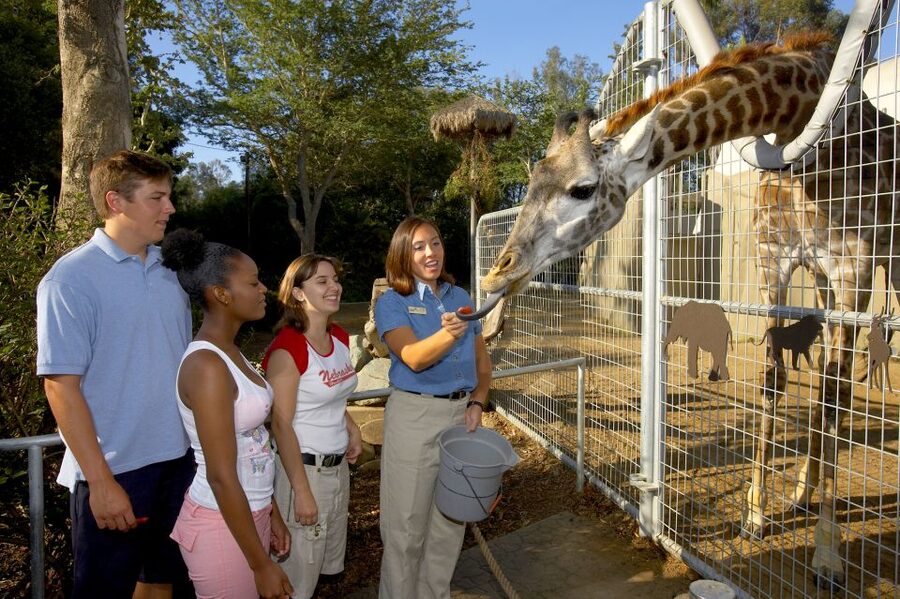 San Diego Zoo: 1-Day Admission Ticket - Why San Diego Zoo deserves a full day