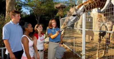 San Diego Zoo: 1-Day Admission Ticket