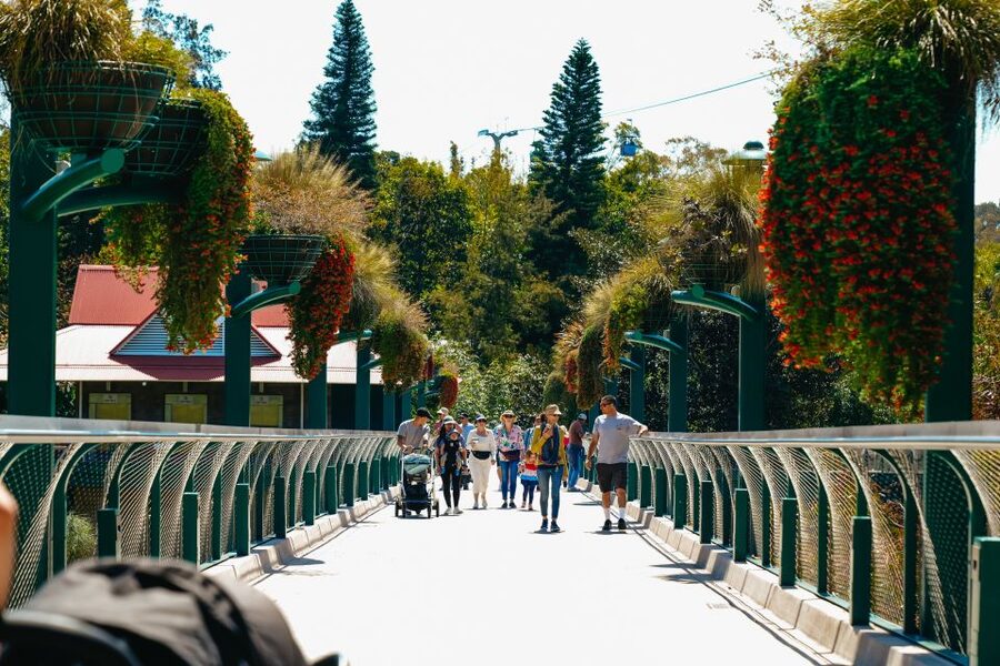 San Diego Zoo: 1-Day Admission Ticket - Africa Rocks and the less familiar animals