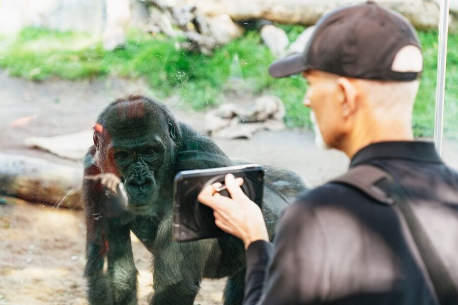 San Diego Zoo: 1-Day Admission Ticket - Skyfari gives your feet a break