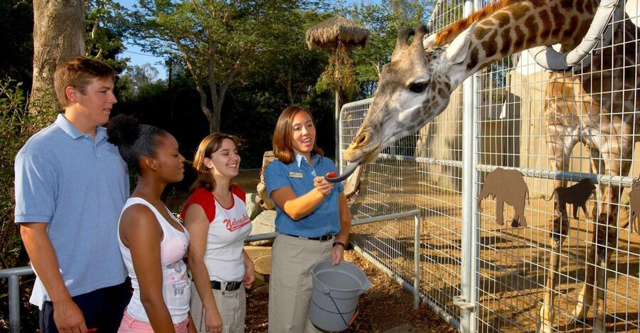 San Diego Zoo: 1-Day Admission Ticket - Entering with the mobile ticket