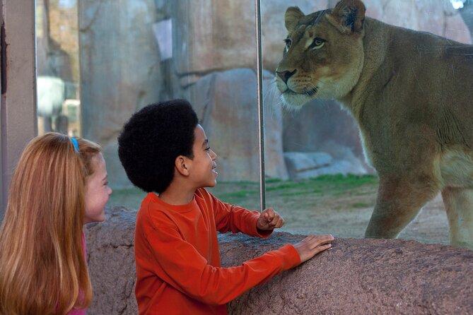 San Diego Zoo and Safari Park 2-Visit Pass Ticket - Families, mobility, and daily comfort