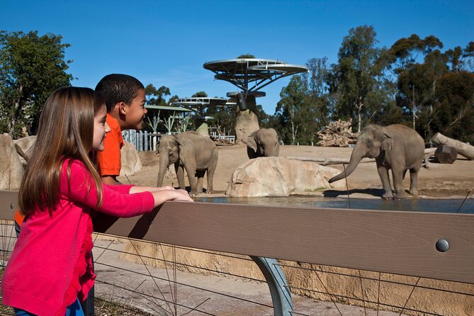 San Diego Zoo and Safari Park 2-Visit Pass Ticket - Who should book this pass