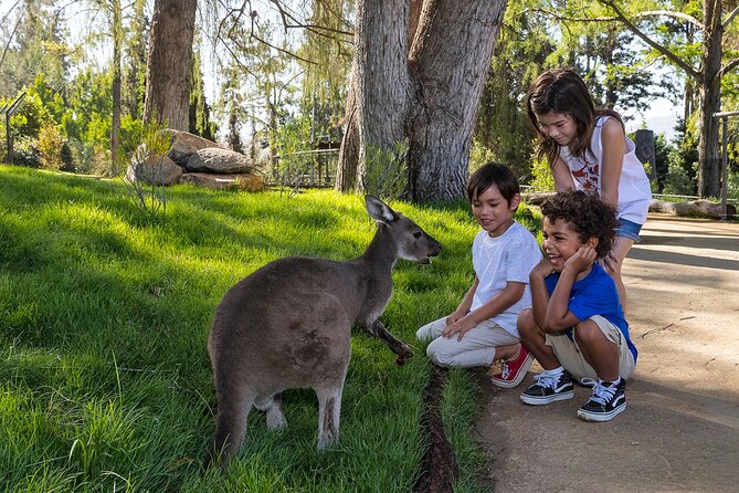 San Diego Zoo and Safari Park 2-Visit Pass Ticket - Why the Zoo usually needs a full day