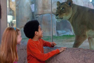 San Diego Zoo Safari Park 1-Day Pass: Any Day Ticket
